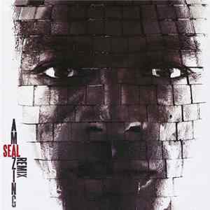 Download Seal - Amazing Remix (The DJ Mixes)