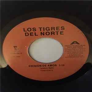 Download Los Tigres Del Norte - Prision De Amor