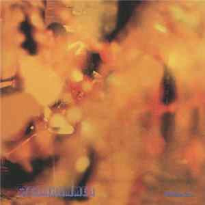 Download Steamhammer - Reflection