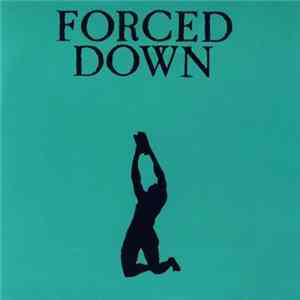 Download Forced Down - A Cry For Truth