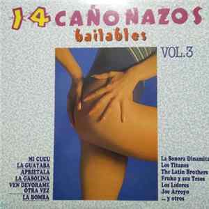 Download Various - 14 Cañonazos Bailables Vol. 3