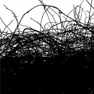 Download Flint Kids - The Cantor Dust (Remixes)