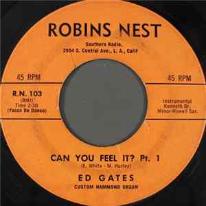 Download Ed Gates - Can You Feel It?