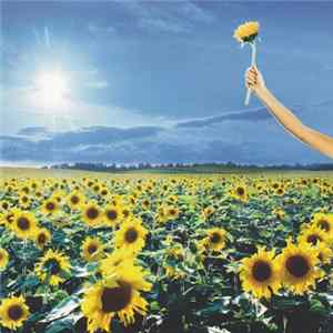 Download Stone Temple Pilots - Thank You