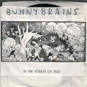 Download The Bunny Brains - I'm Obsessed With My Looks / Bus Boy Bop