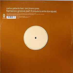 Download Carlos Gallardo - Flamenco Groove Part II (Tribute To Entre Dos Aguas)