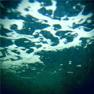 Download Coppice Halifax - Ocean Lion