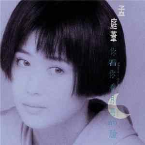 Download 孟庭葦 - 你看你看月亮的臉