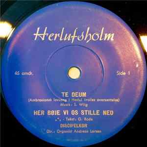Download Discipelkor, Andreas Larsen - Te Deum