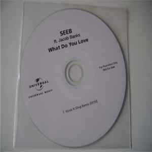 Download SeeB Ft. Jacob Banks - What Do You Love (Hook N Sling Remix)