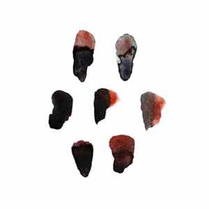 Download Hobo - Trackz