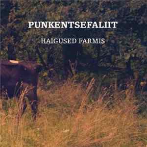 Download Punkentsefaliit - Haigused farmis