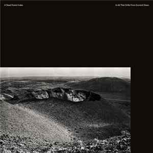 Download A Dead Forest Index - In All That Drifts From Summit Down