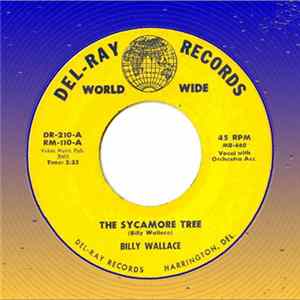 Download Billy Wallace - The Sycamore Tree