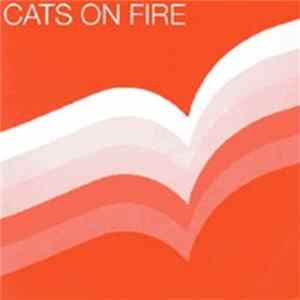Download Cats On Fire - Solid Work