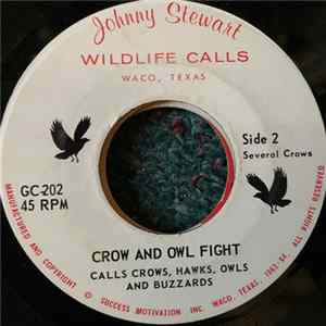Download No Artist - Crow And Owl Fight
