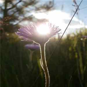 Download dougtesnow - Sunstroke ep
