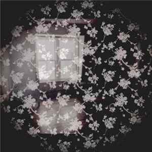 Download Steve Maloney - Room With A View