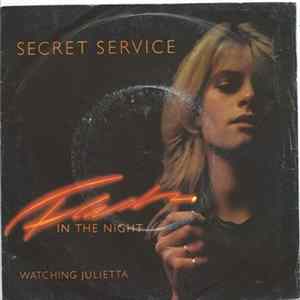 Download Secret Service - Flash In The Night