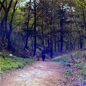 Download Sebastian Fleet + Count Oak - Sun 7"