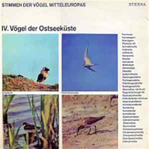 Download No Artist - Stimmen der Vögel Mitteleuropas - IV. Vögel der Ostseeküste