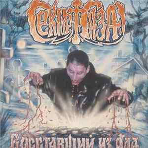 Download Сектор Газа - Восставший Из Ада