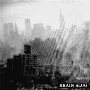 Download Brain Slug - Distort New York