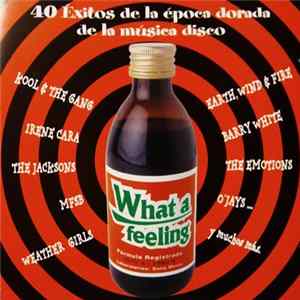 Download Various - What A Feeling - 40 Éxitos De La Época Dorada De La Música Disco