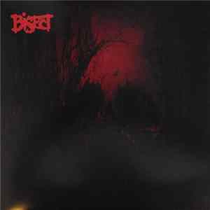 Download Bisect / Horse - Bisect / Horse