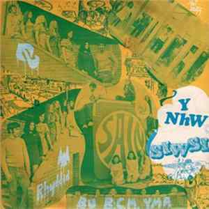 Download Y Nhw - Siwsi