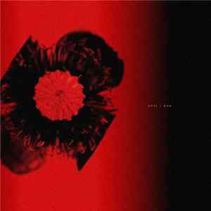 Download Ono - Still