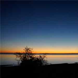 Download Sergey Tarasov - Immersion In The Night