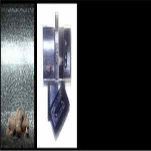 Download staticnosis - S/T