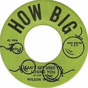 Download Wilson Williams - I Can't Get Used To Losing You