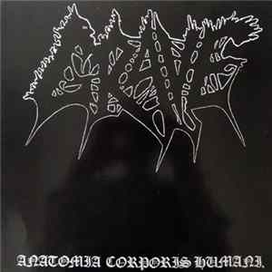 Download Grave - Anatomia Corporis Humani