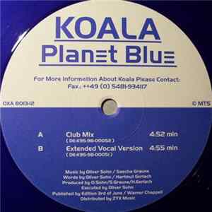 Download Koala - Planet Blue