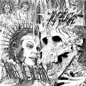 Download Tortuga - Kings Of Albany