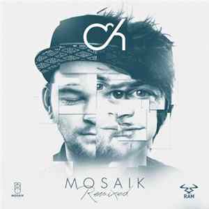 Download Camo & Krooked - Mosaik Remixed