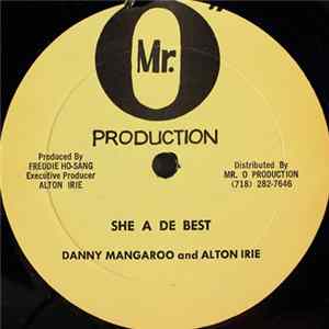 Download Danny Mangaroo And Alton Irie - She A De Best