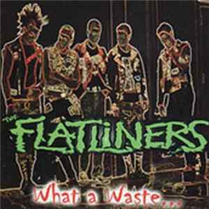 Download The Flatliners - What A Waste...