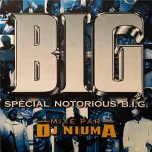 Download Notorious B.I.G. - BIG