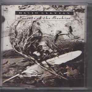 Download David Sylvian - Secrets Of The Beehive