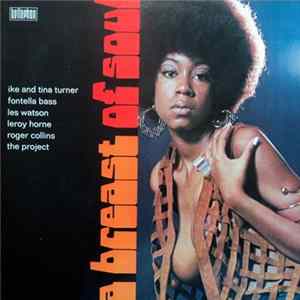 Download Various - A Breast Of Soul