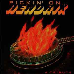 Download Unknown Artist - Pickin' On Hendrix (A Tribute)