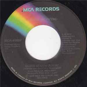 Download Lynyrd Skynyrd - Down South Jukin'