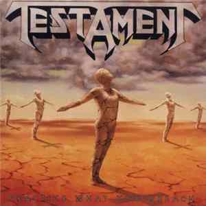 Download Testament - Practice What You Preach