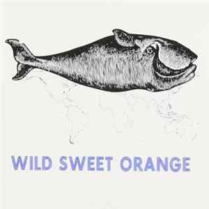 Download Wild Sweet Orange - Wild Sweet Orange
