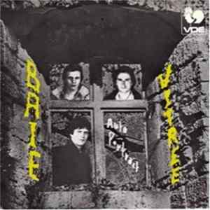 Download Baie Vitree - Auto Portrait / Next Version