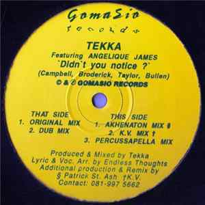 Download Tekka Featuring Angelique James - Didn't You Notice ?