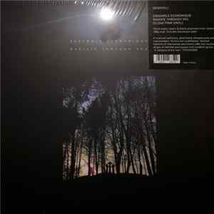 Download Ensemble Economique - Radiate Through You